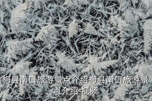 雁南飞舞蹈视频,形体舞雁南飞舞蹈视频