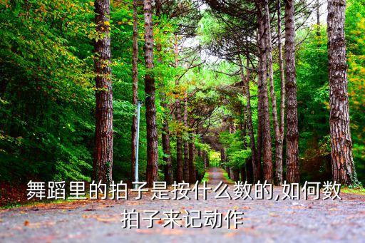  舞蹈里的拍子是按什么数的,如何数拍子来记动作