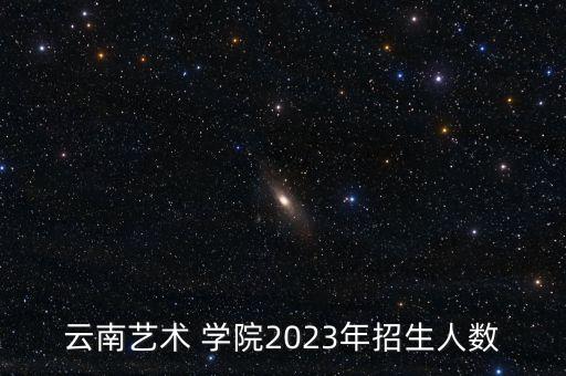 云南艺术 学院2023年招生人数