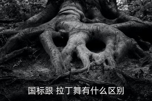 国标跟 拉丁舞有什么区别