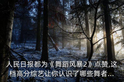 人民日报都为《舞蹈风暴2》点赞,这档高分综艺让你认识了哪些舞者...