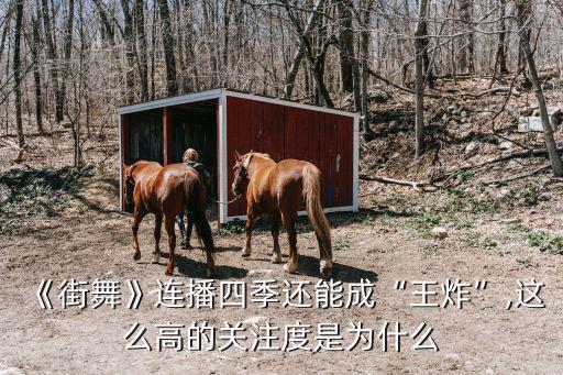 《街舞》连播四季还能成“王炸”,这么高的关注度是为什么