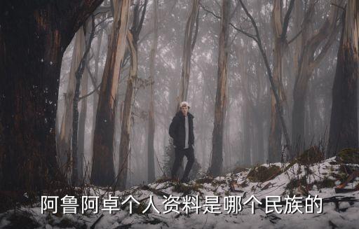 彝族舞蹈支阿鲁,彝族 阿鲁家谱