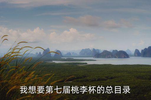 我想要第七届桃李杯的总目录