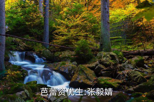 芭蕾资优生:张毅婧
