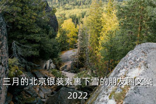 寒江雪舞蹈 安琪