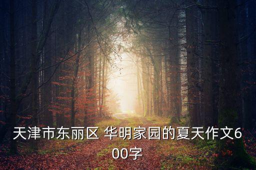 天津市东丽区 华明家园的夏天作文600字