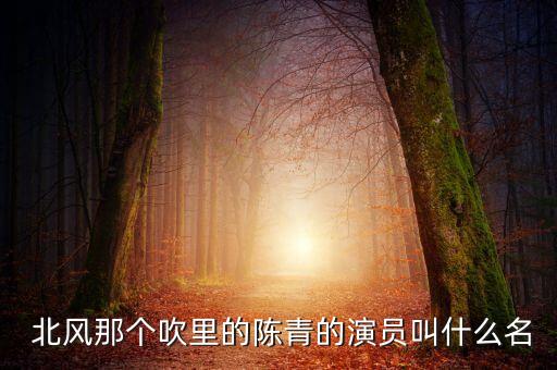  北风那个吹里的陈青的演员叫什么名