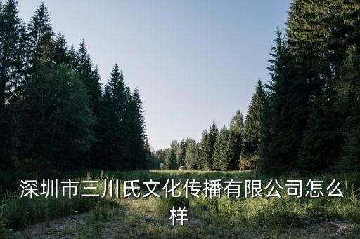  深圳市三川氏文化传播有限公司怎么样