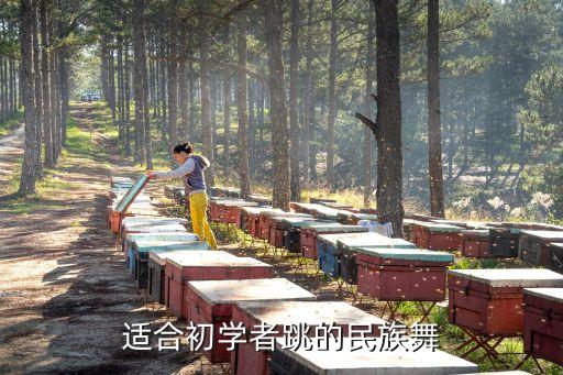 维族舞蹈神韵,维族小姑娘考级舞蹈