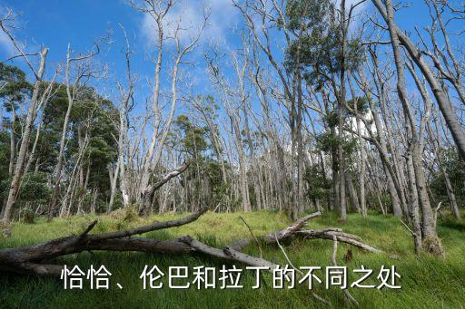 恰恰、伦巴和拉丁的不同之处