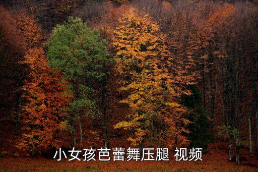 小女孩芭蕾舞压腿 视频