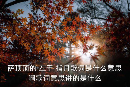 萨顶顶的 左手 指月歌词是什么意思啊歌词意思讲的是什么