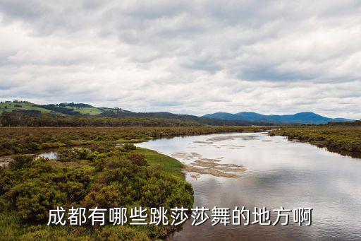 成都有哪些跳莎莎舞的地方啊