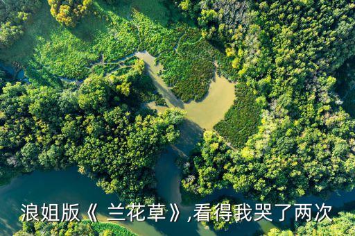 浪姐版《 兰花草》,看得我哭了两次
