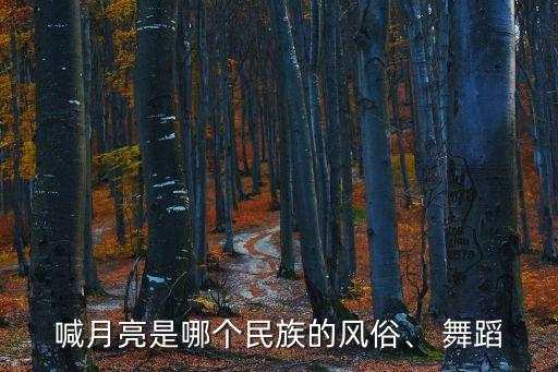 舞蹈作品海拔6000简介,海拔6000米舞蹈观后感