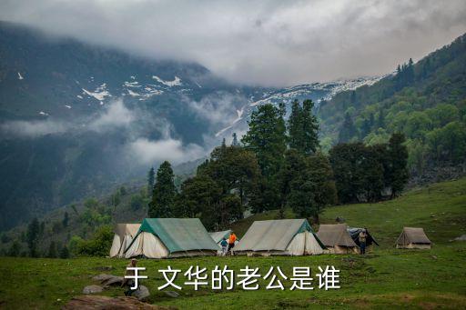 舞蹈美丽中国于文华,美丽舞蹈视频