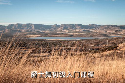 爵士舞初级入门课程