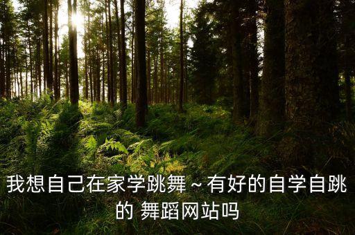 我想自己在家学跳舞～有好的自学自跳的 舞蹈网站吗