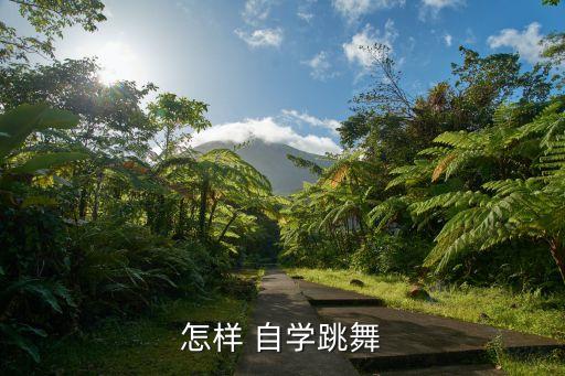 怎样 自学跳舞