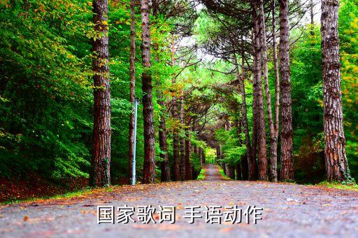 国家歌词 手语动作