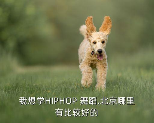 我想学HIPHOP 舞蹈,北京哪里有比较好的
