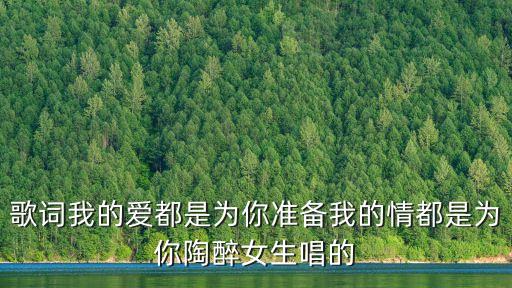 心飞飞梦醉醉舞蹈分解