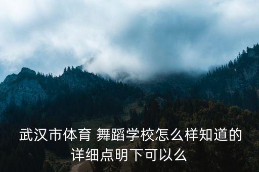 武汉舞蹈表演,武汉工商学院舞蹈表演学费