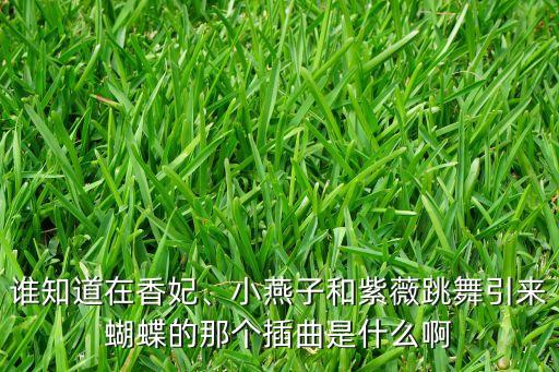 谁知道在香妃、小燕子和紫薇跳舞引来蝴蝶的那个插曲是什么啊