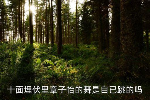 十面埋伏里章子怡的舞是自已跳的吗