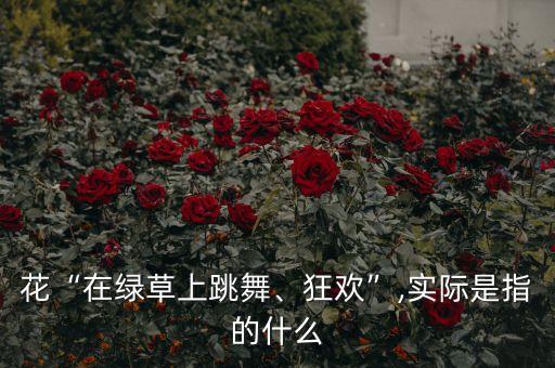 在竹林里舞蹈照片