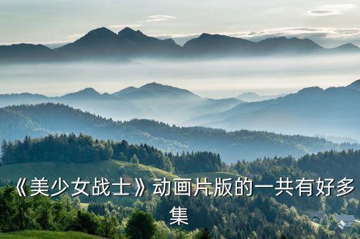 《美少女战士》动画片版的一共有好多集