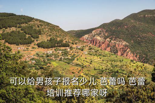 芭蕾舞蹈儿童武汉,武汉金芭蕾舞蹈艺术中心电话