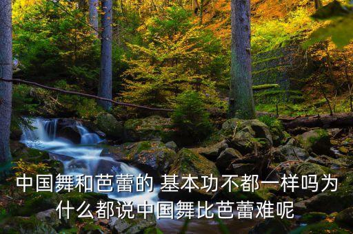 中国舞和芭蕾的 基本功不都一样吗为什么都说中国舞比芭蕾难呢