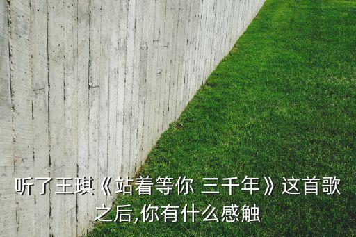 听了王琪《站着等你 三千年》这首歌之后,你有什么感触