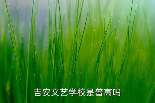 吉安文艺学校是普高吗