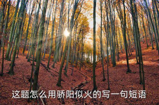 这题怎么用骄阳似火的写一句短语