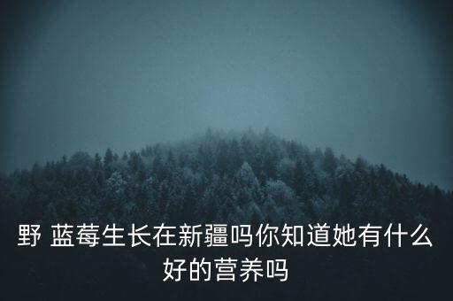 野 蓝莓生长在新疆吗你知道她有什么好的营养吗