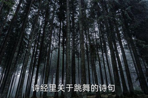 诗经里关于跳舞的诗句