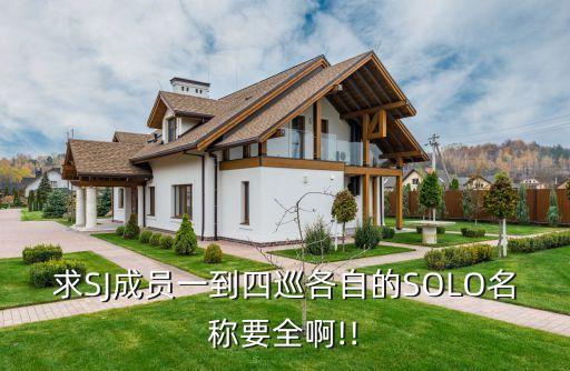 求SJ成员一到四巡各自的SOLO名称要全啊!!