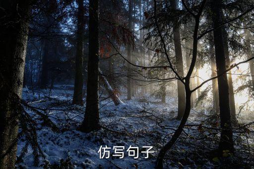 仿写句子