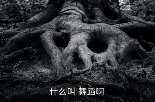 什么叫 舞蹈啊