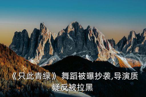 茶蕴巴山舞蹈简介
