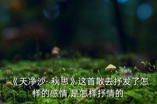 《天净沙· 秋思》这首散去抒发了怎样的感情,是怎样抒情的