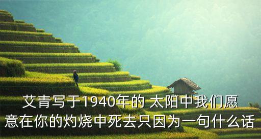 艾青写于1940年的 太阳中我们愿意在你的灼烧中死去只因为一句什么话