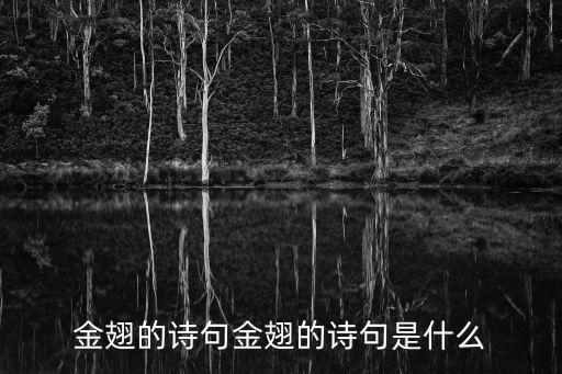 《邹鹰展翅》舞蹈视频