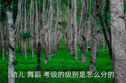 九级十级舞蹈考级视频,九级考级舞蹈follow me