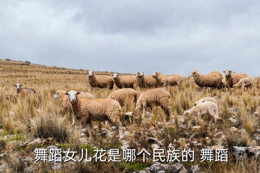  舞蹈女儿花是哪个民族的 舞蹈