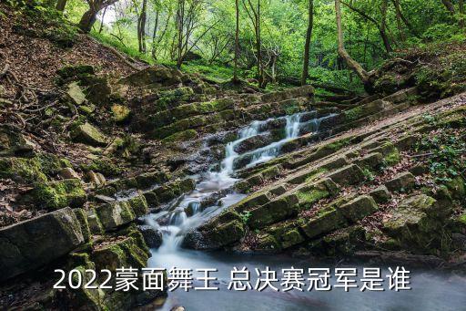 2022蒙面舞王 总决赛冠军是谁