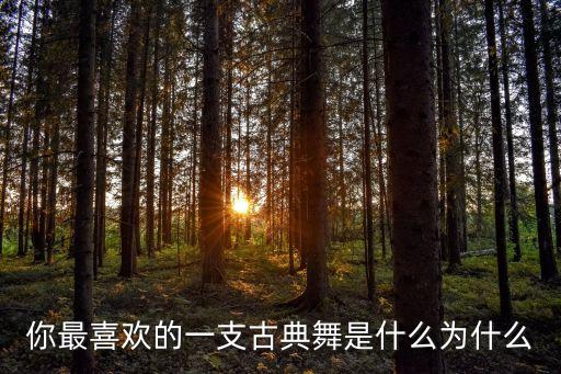 你最喜欢的一支古典舞是什么为什么